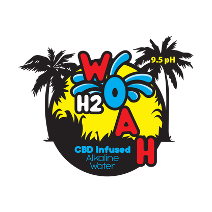 H2Woah 4-pack